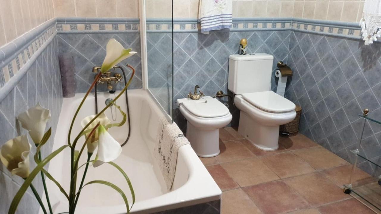 Los Abuelos Setenil De Las Bodegas エクステリア 写真