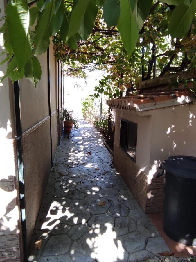 Los Abuelos Setenil De Las Bodegas エクステリア 写真