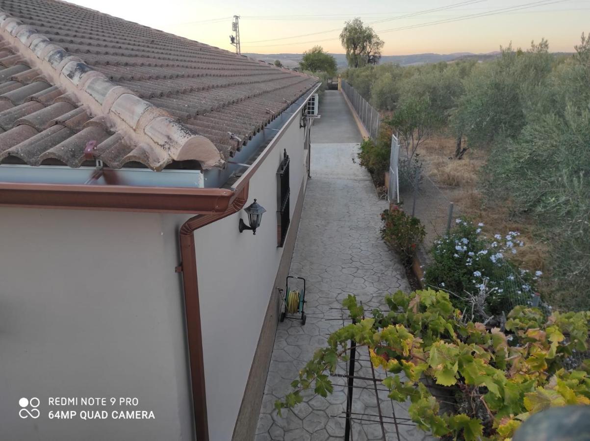 Los Abuelos Setenil De Las Bodegas エクステリア 写真
