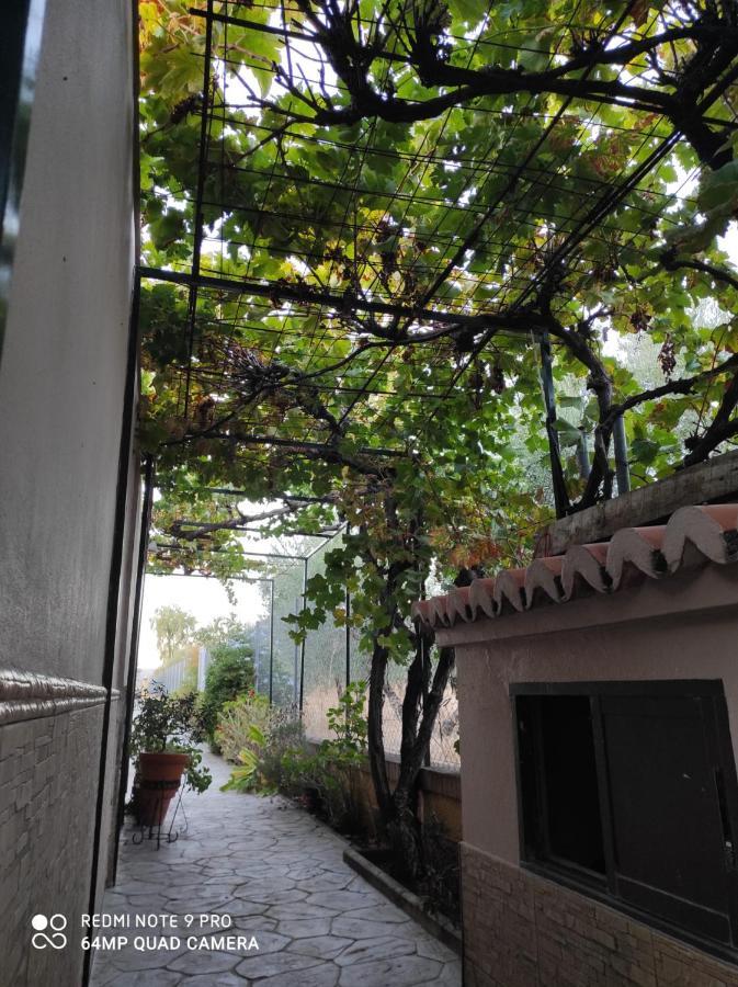Los Abuelos Setenil De Las Bodegas エクステリア 写真